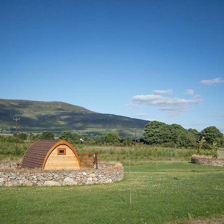 Bluebell Lane Glamping Hotel Newry Eksteriør billede