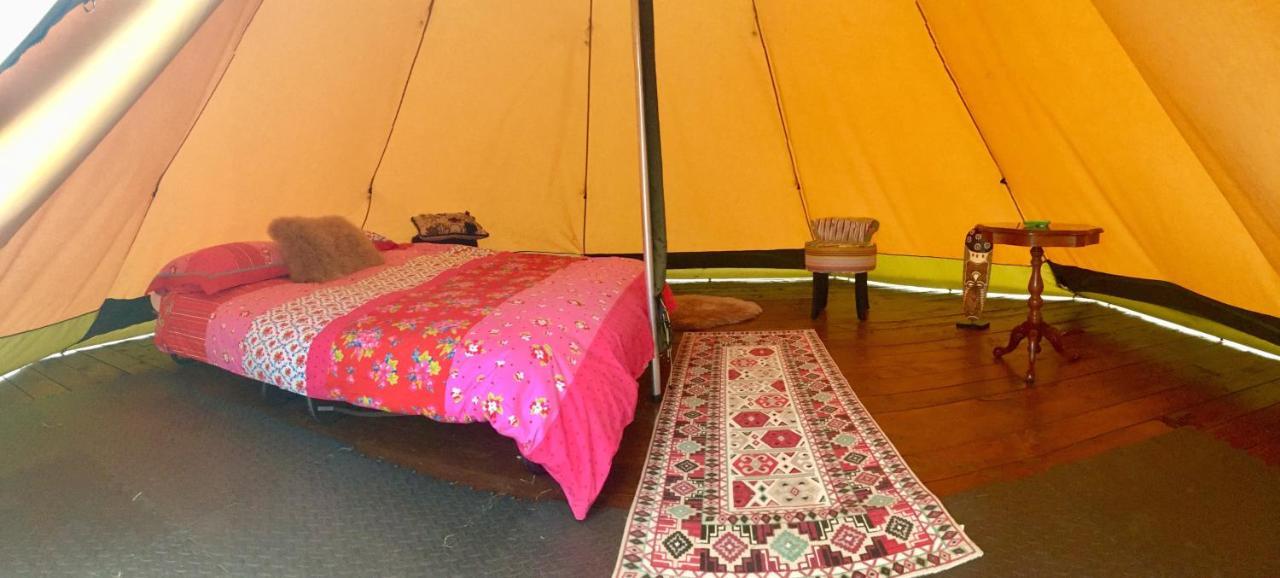 Bluebell Lane Glamping Hotel Newry Eksteriør billede