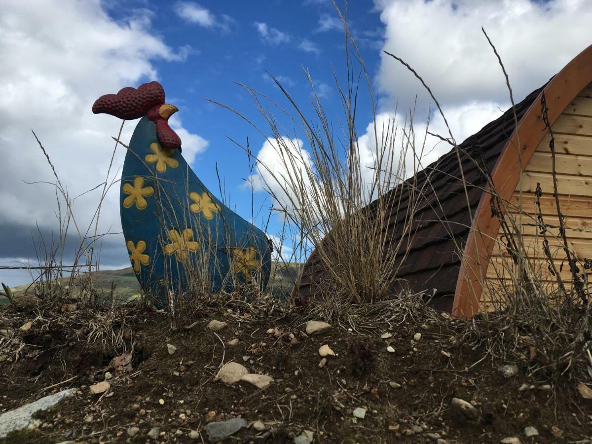Bluebell Lane Glamping Hotel Newry Eksteriør billede