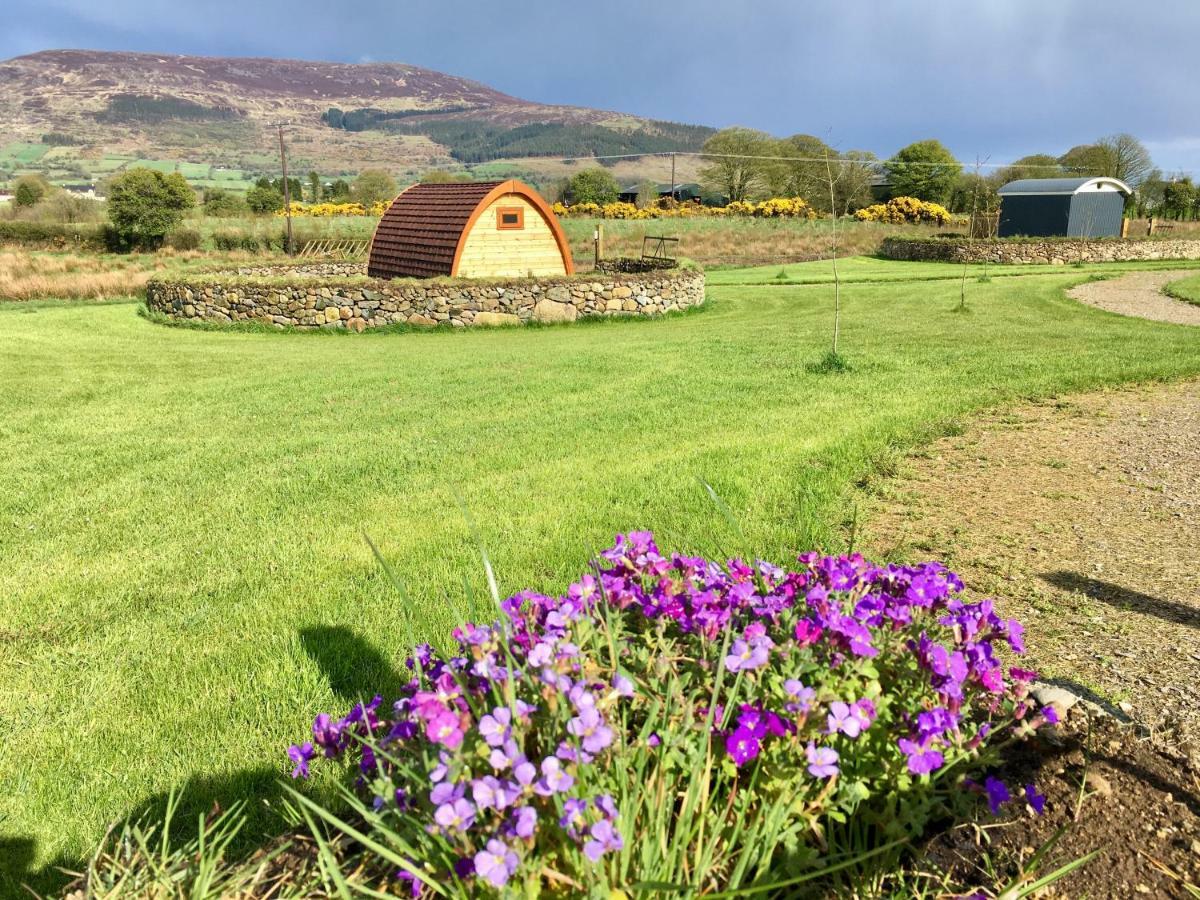 Bluebell Lane Glamping Hotel Newry Eksteriør billede