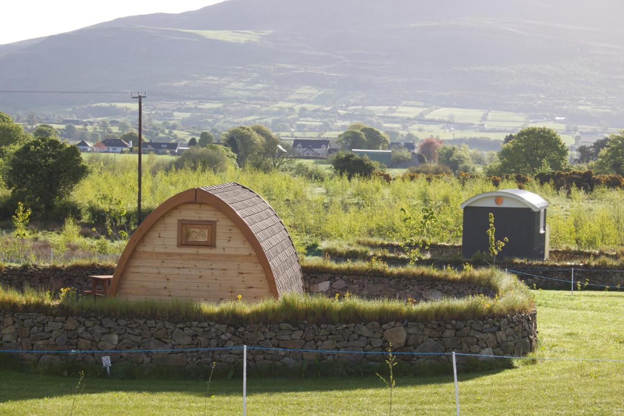 Bluebell Lane Glamping Hotel Newry Eksteriør billede