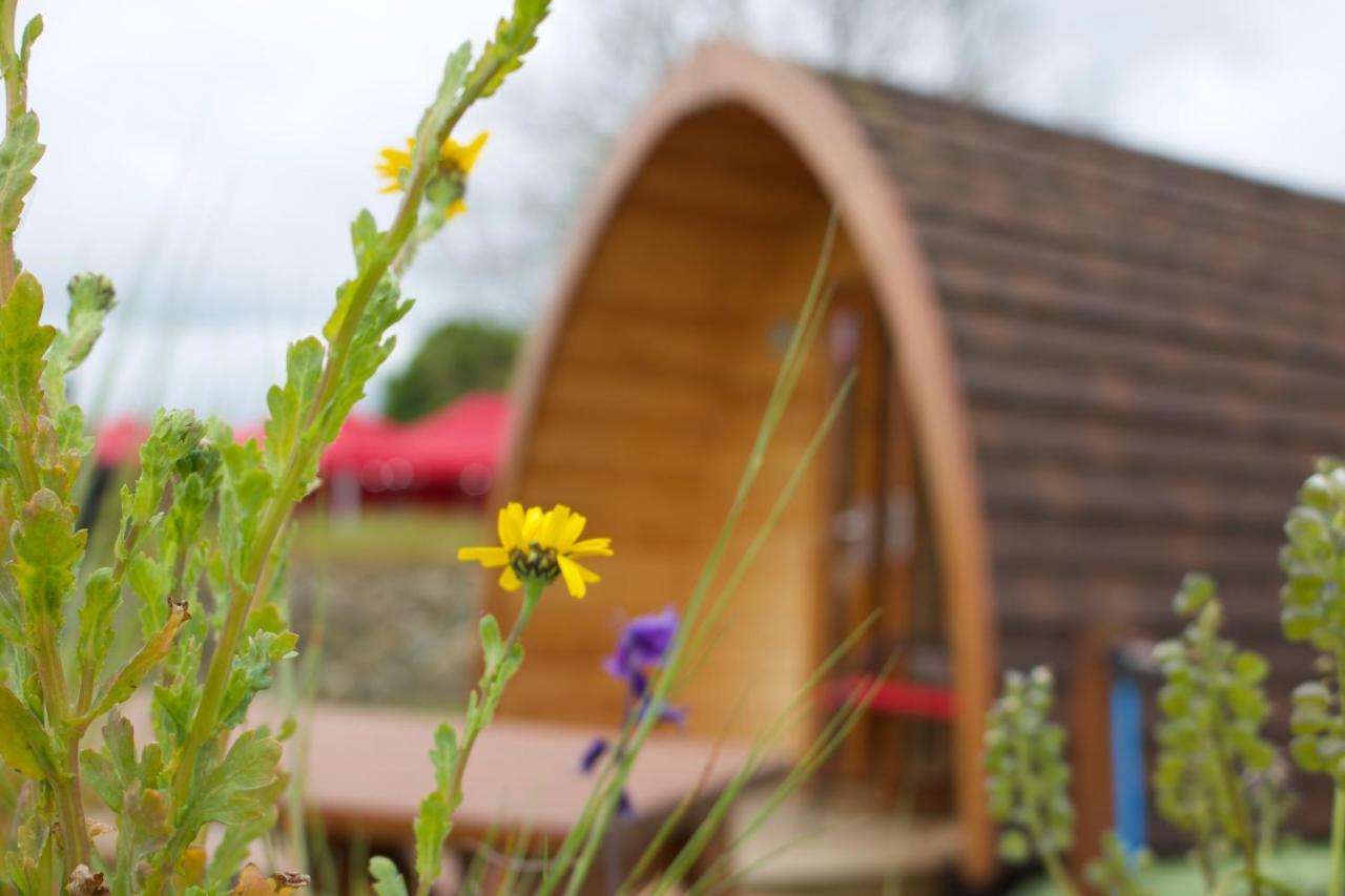 Bluebell Lane Glamping Hotel Newry Eksteriør billede